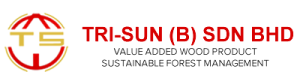 tsbnlogo